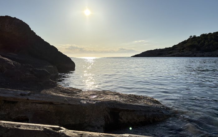 Common Legal Issues in Ibiza