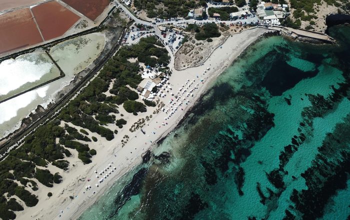 Laws in the Balearic Islands