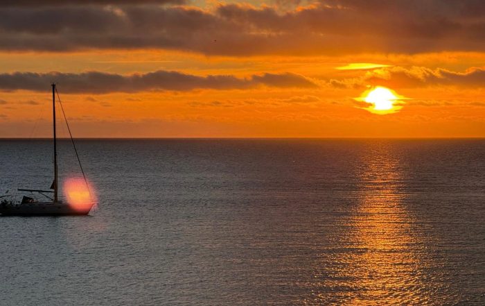 Managing Multiple Assets in Ibiza