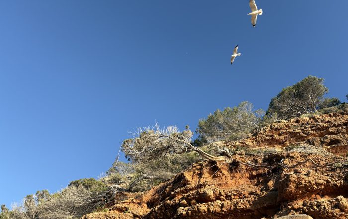 Fiscal Residence vs. Asset Location